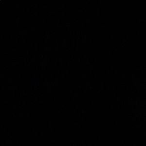 Meet your Posher, Antony